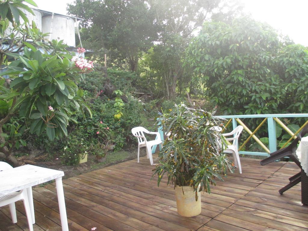 Hotel Flemming Tree Providencia Island Exterior photo