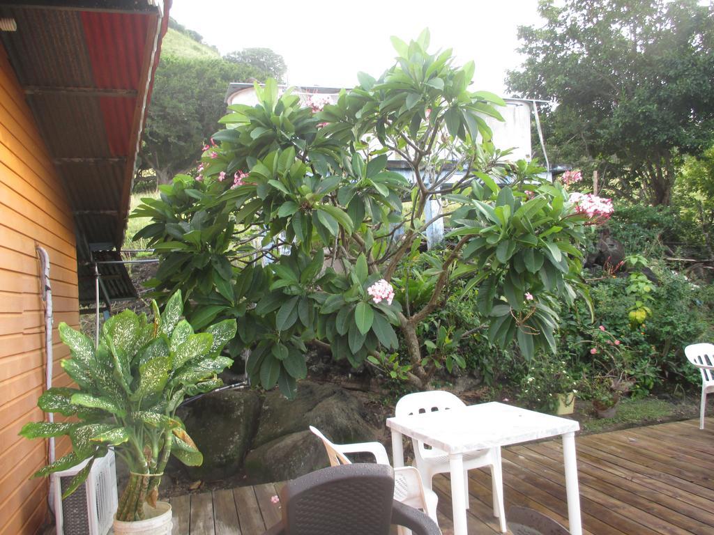 Hotel Flemming Tree Providencia Island Exterior photo